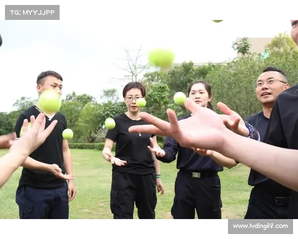 辅助光辉装备助力团队协作提升 打造无敌团队作战新体验 辅助光辉装备助力团队协作提升 打造无敌团队作战新体验