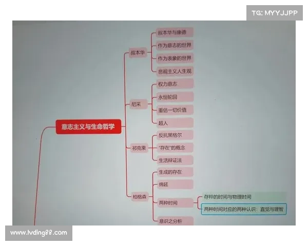 从哲学理念到竞技状态多维视角解析大卫路易斯落选的深层原因