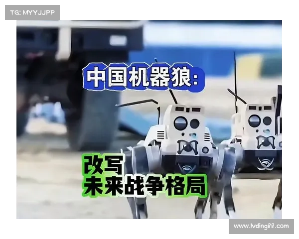 小孔塞桑战役胜利的历史意义与对未来战争格局的深远影响分析