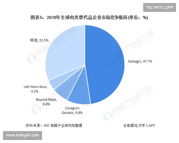 德甲球队关系解析与竞争态势深度剖析指南